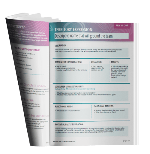 Strategic Growth Territory worksheet e-Book mock